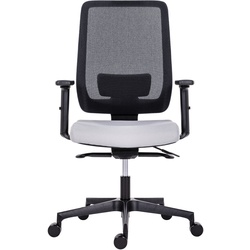 XL Ergonomie-Netzstuhl Elite