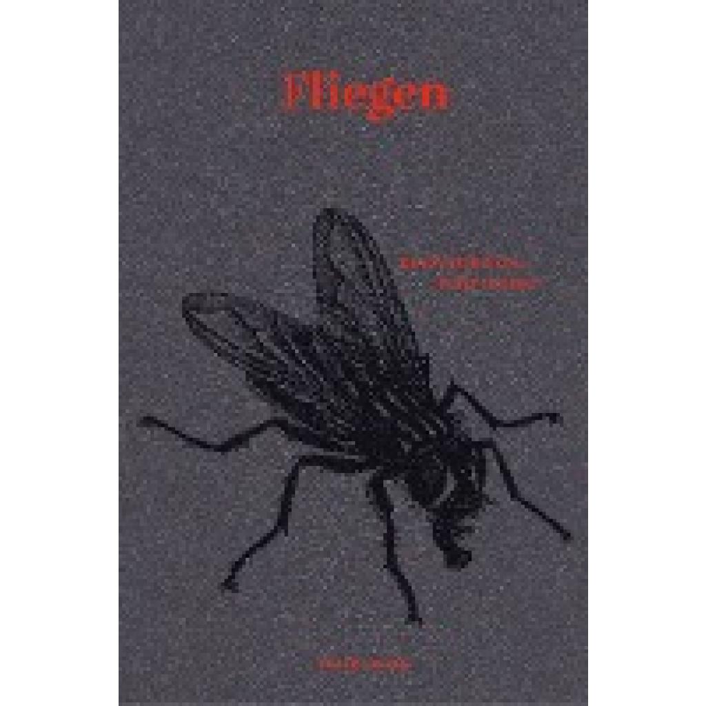 Fliegen (Geimer, Peter)