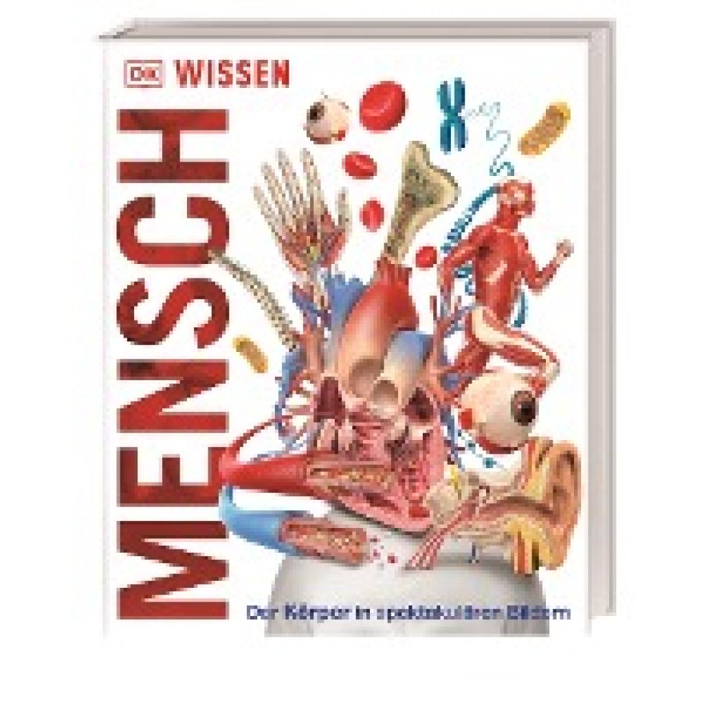 Wissen - Mensch