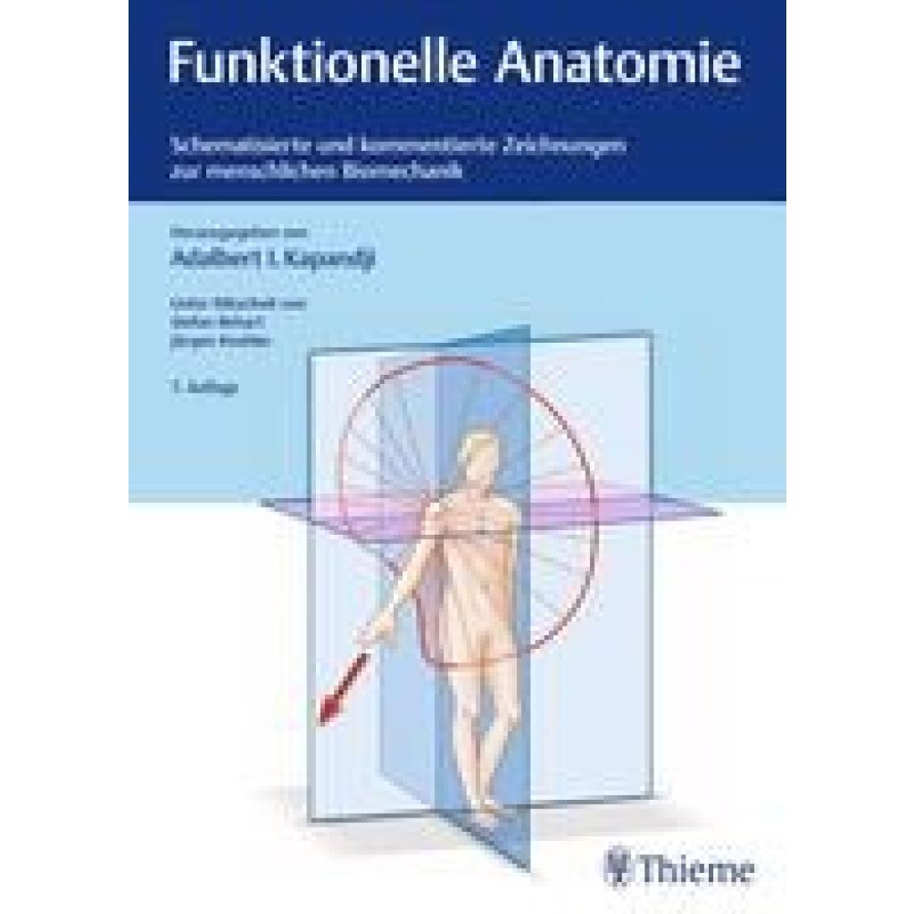 Funktionelle Anatomie