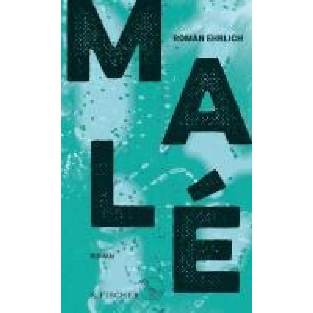Malé (Ehrlich, Roman)