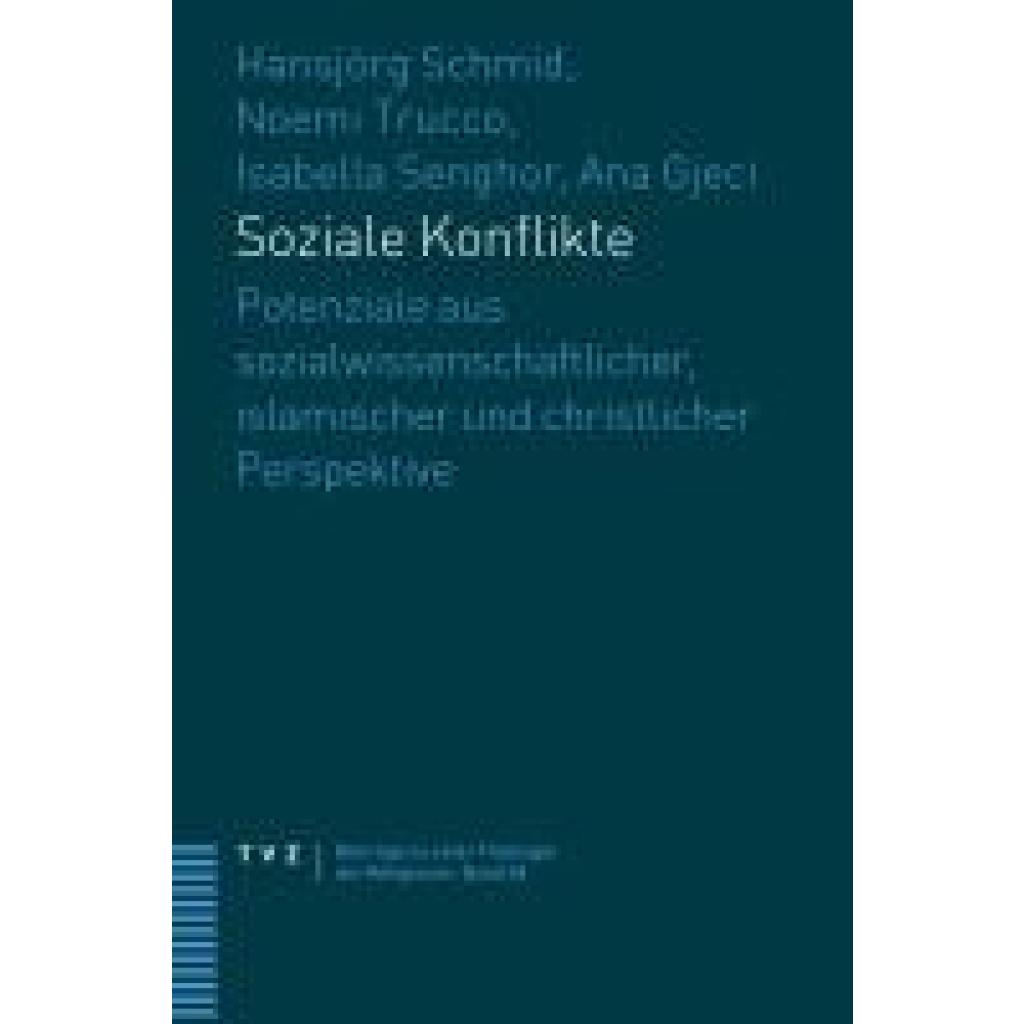Schmid, Hansjörg: Soziale Konflikte